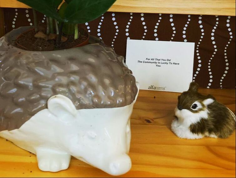 A close up of a shelf featuring a hedgehog shaped planter with a plant growing out of it, and a small rabbit knick-knack.